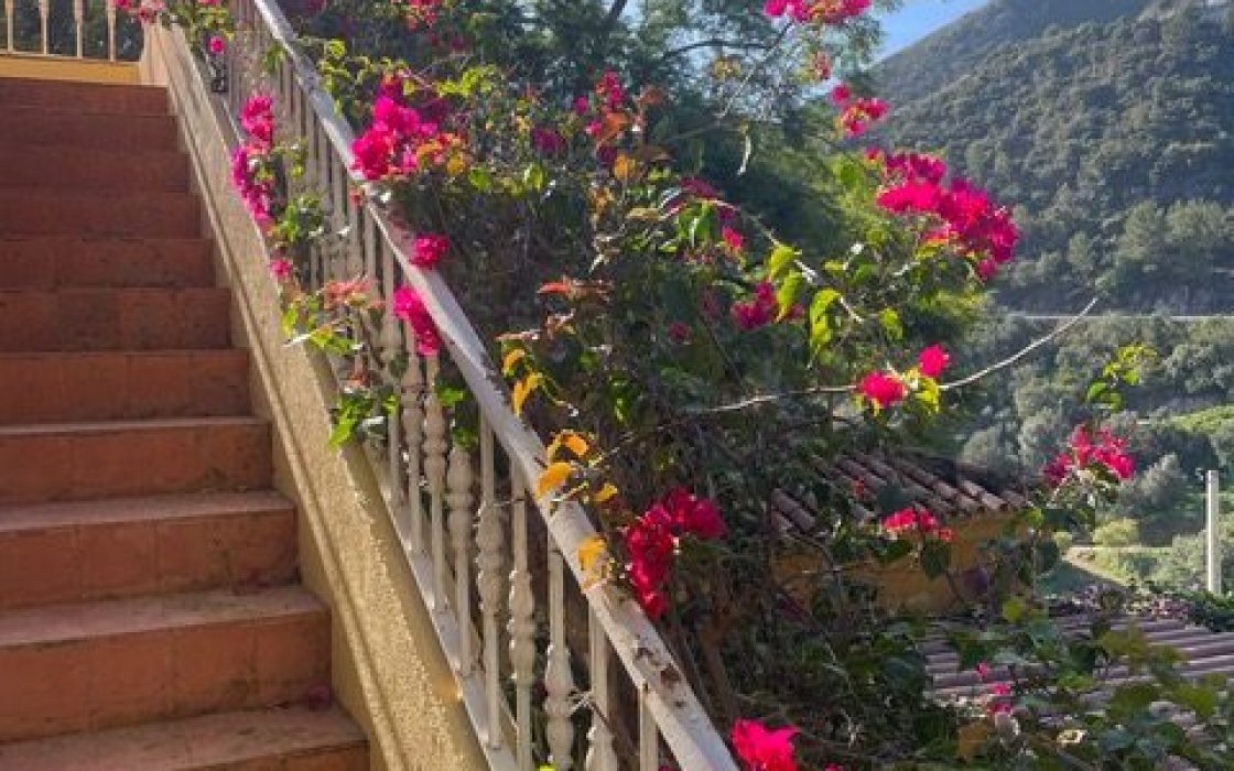 Bonita Casa/chalet en la salida de Ojén en dirección a Marbella