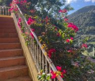 Bonita Casa/chalet en la salida de Ojén en dirección a Marbella