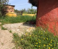Gran propiedad y conjunto de construcciones en autosuficiencia en El Burgo, cerca de Ronda