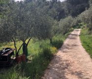 Gran propiedad y conjunto de construcciones en autosuficiencia en El Burgo, cerca de Ronda