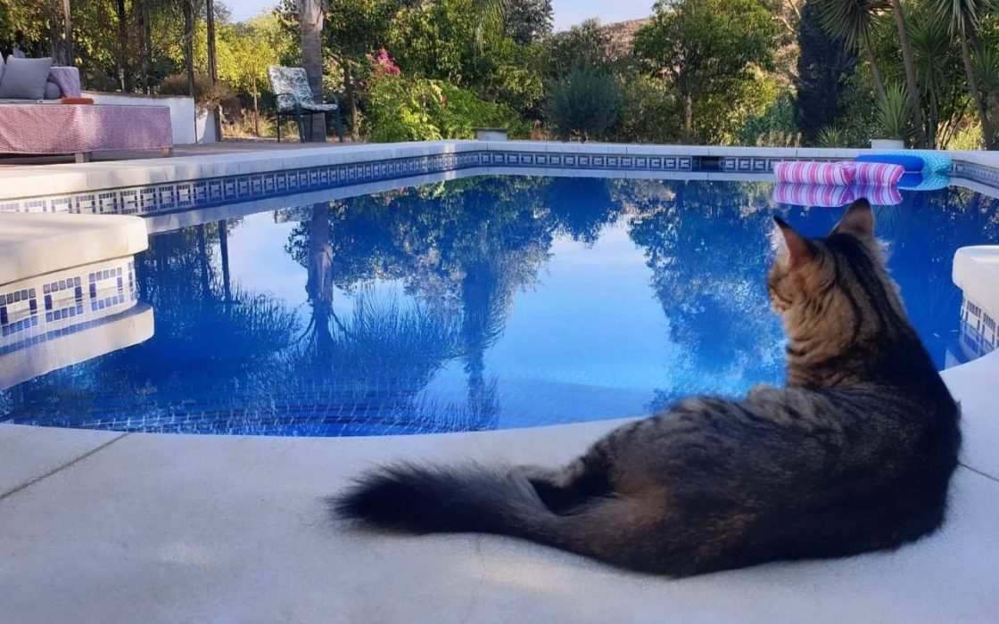 Finca encantadora en un sitio único y espectacular en Coín, Malaga!