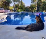 Finca encantadora en un sitio único y espectacular en Coín, Malaga!