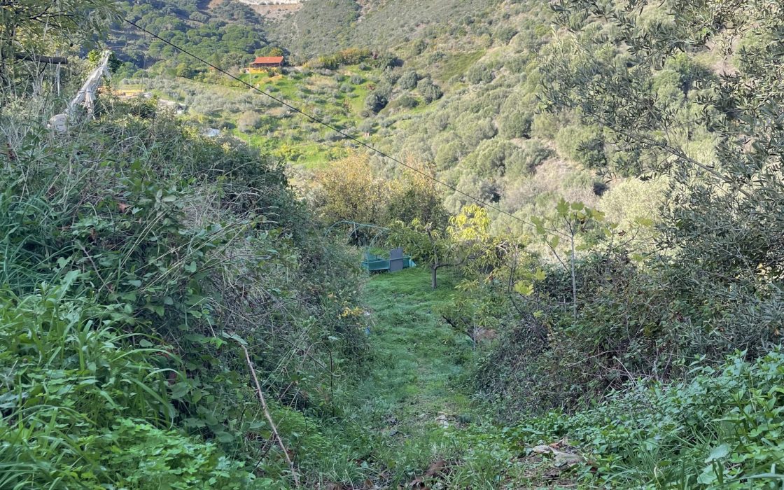 Finca aislada con preciosas vistas!