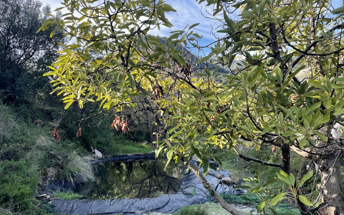 Finca aislada con preciosas vistas!