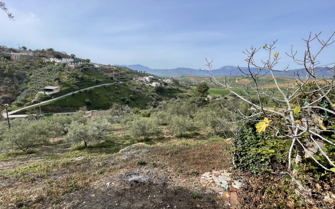 **OPORTUNIDAD DE INVERSIÓN. ADQUISICIÓN DOS VIVIENDAS**