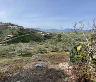 **OPORTUNIDAD DE INVERSIÓN. ADQUISICIÓN DOS VIVIENDAS**