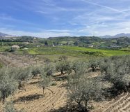 Magnifica casa rústica con vistas impresionantes al campo en Coin, Malaga
