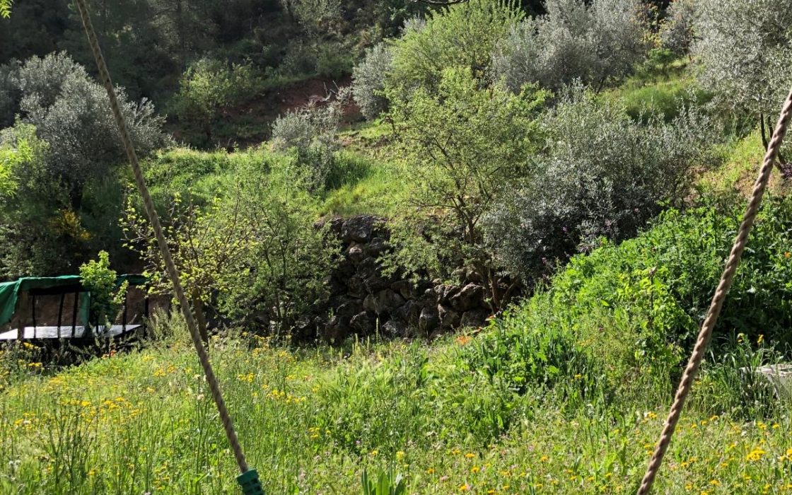 Gran propiedad y conjunto de construcciones en autosuficiencia en El Burgo, cerca de Ronda