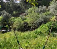 Gran propiedad y conjunto de construcciones en autosuficiencia en El Burgo, cerca de Ronda
