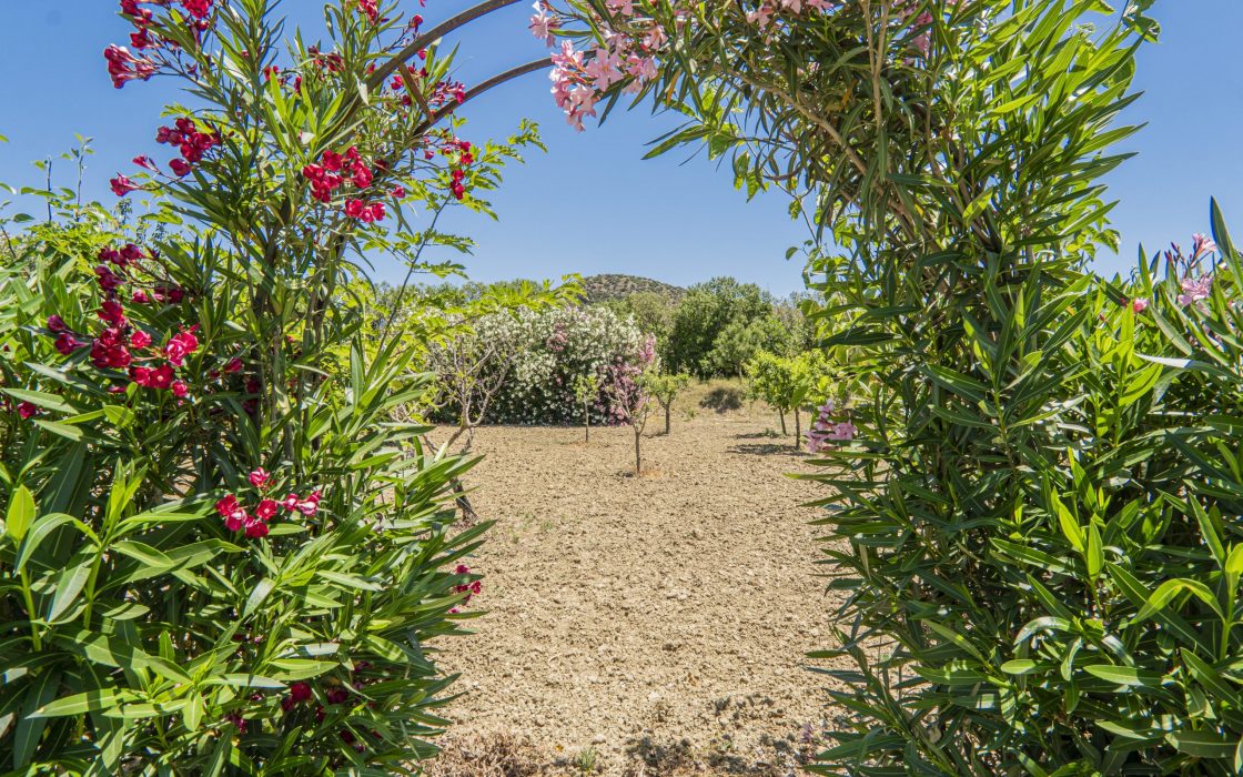 Chalet sostenible con energia solar y entorno natural en Cartama.