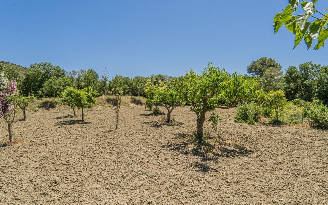 Chalet sostenible con energia solar y entorno natural en Cartama.