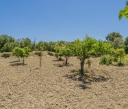 Chalet sostenible con energia solar y entorno natural en Cartama.