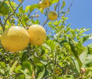 Chalet sostenible con energia solar y entorno natural en Cartama.