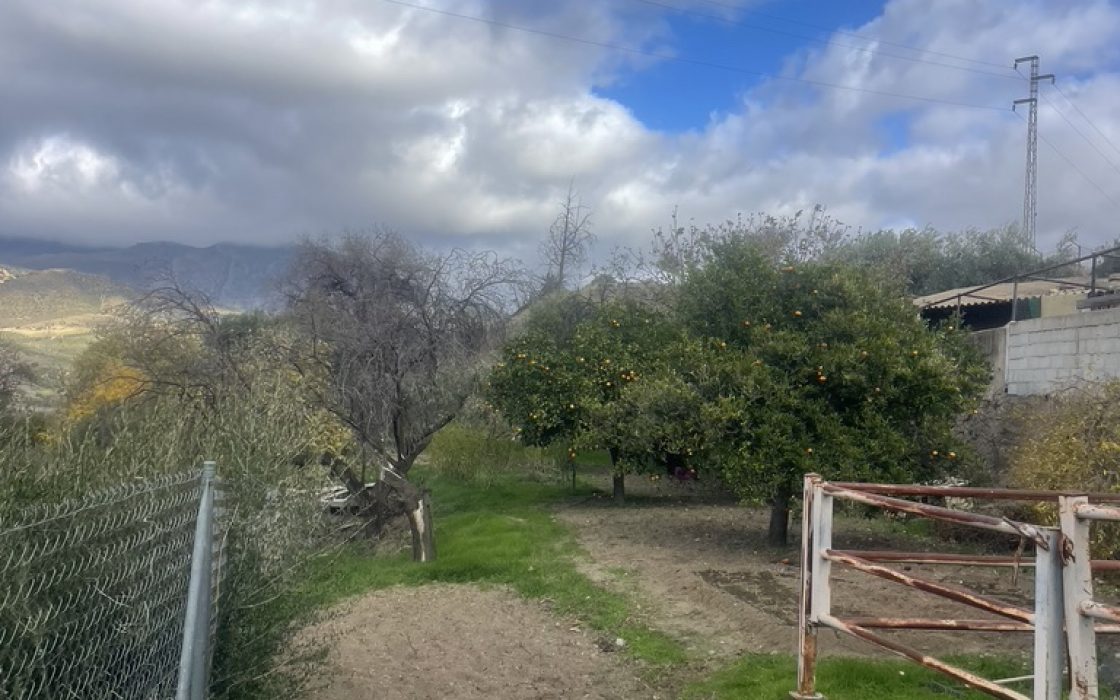 Casa de pueblo en venta en CL PINTOR CARAZO (BERMEJO) 1, Alora