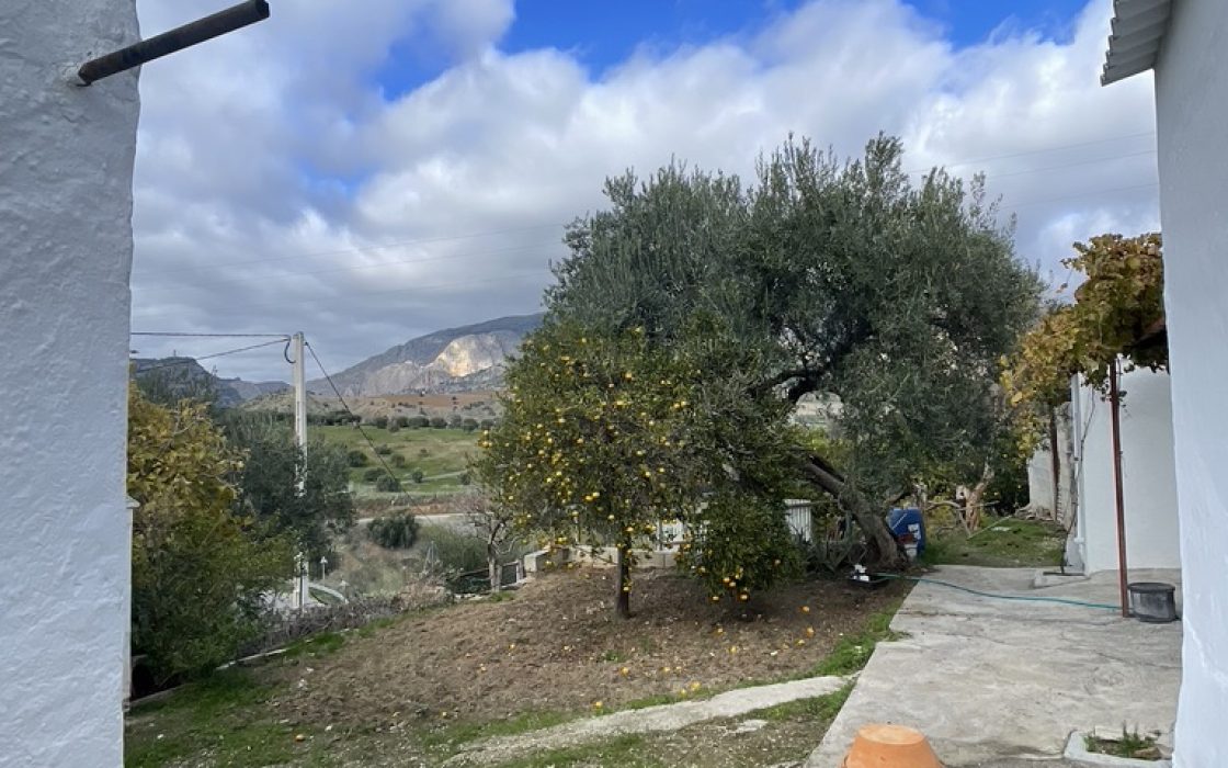 Casa de pueblo en venta en CL PINTOR CARAZO (BERMEJO) 1, Alora