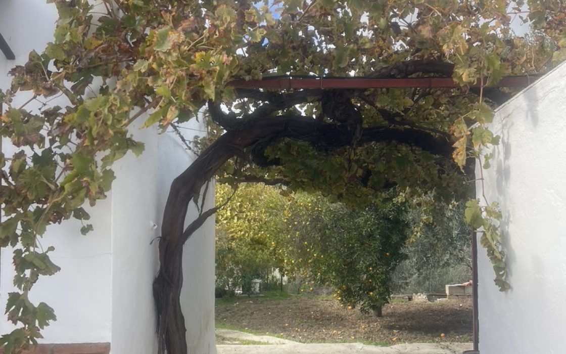 Casa de pueblo en venta en CL PINTOR CARAZO (BERMEJO) 1, Alora