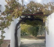 Casa de pueblo en venta en CL PINTOR CARAZO (BERMEJO) 1, Alora